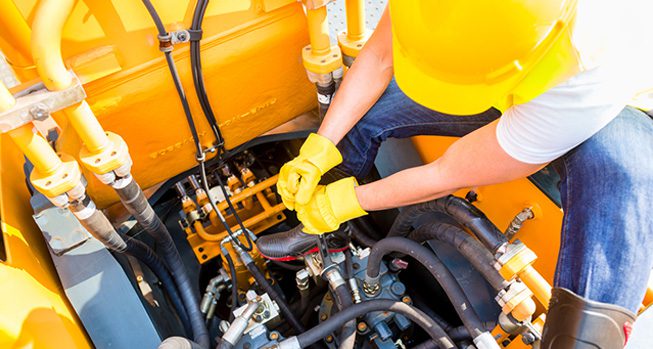 Anjali Gupta profile picture